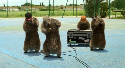 Marmottes HipHop