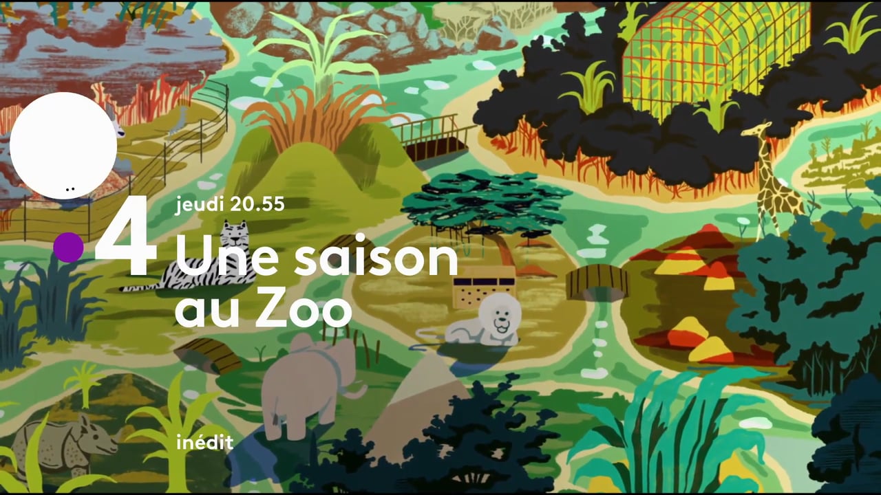 Bande Annonce Une saison au zoo
