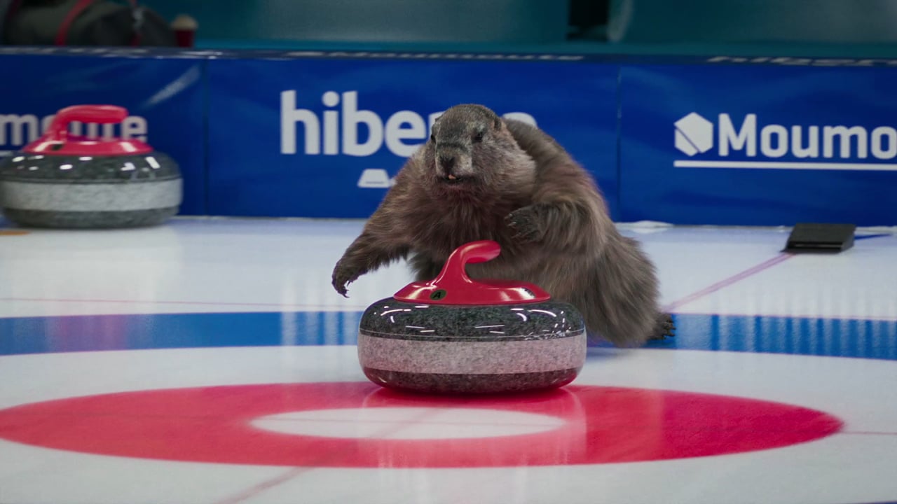 Marmottes_Curling