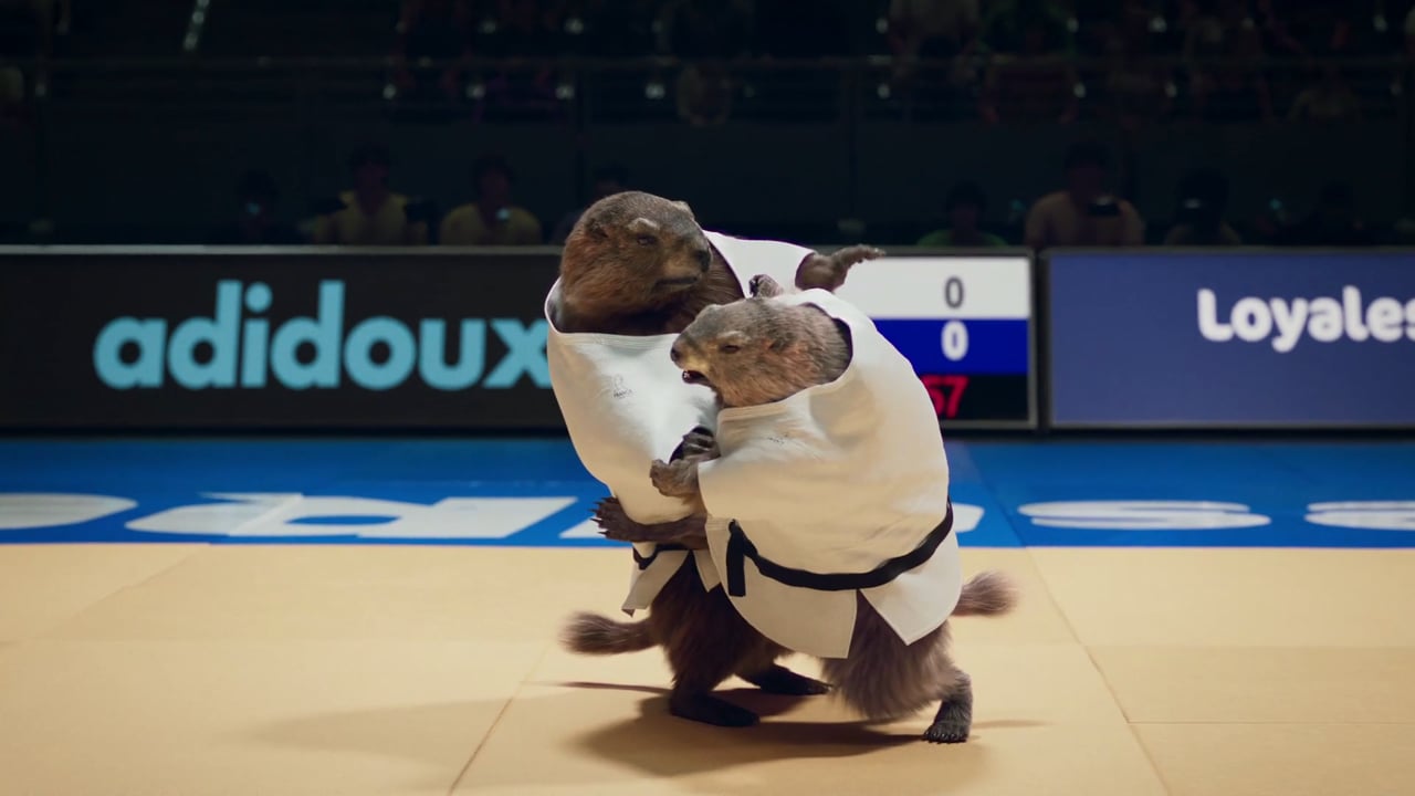 Marmottes_Judo