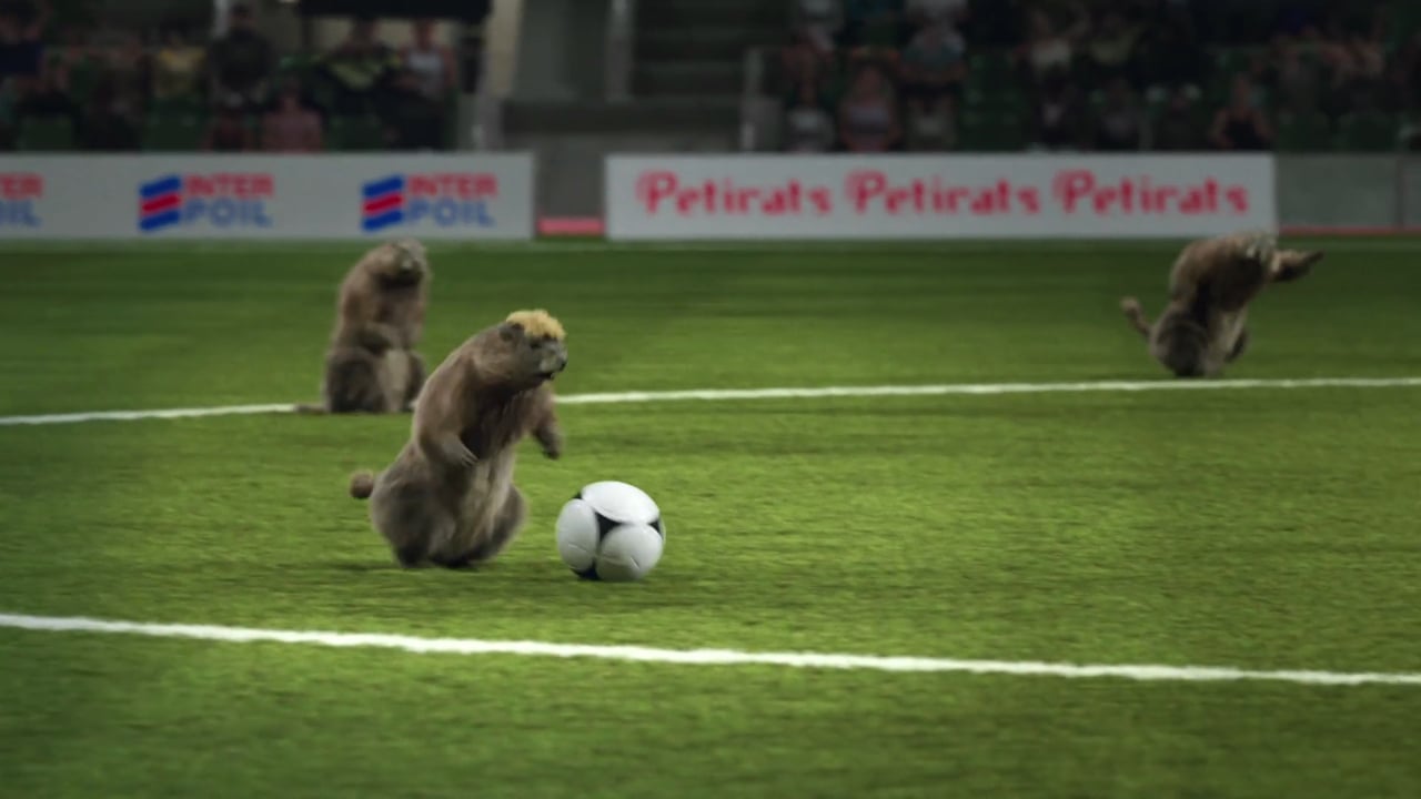 Marmottes_Football